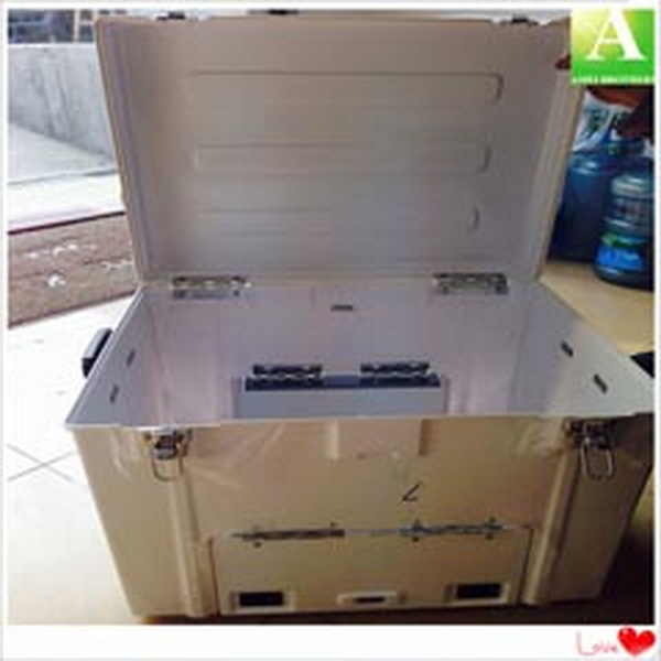 �O(sh��)�������⚤