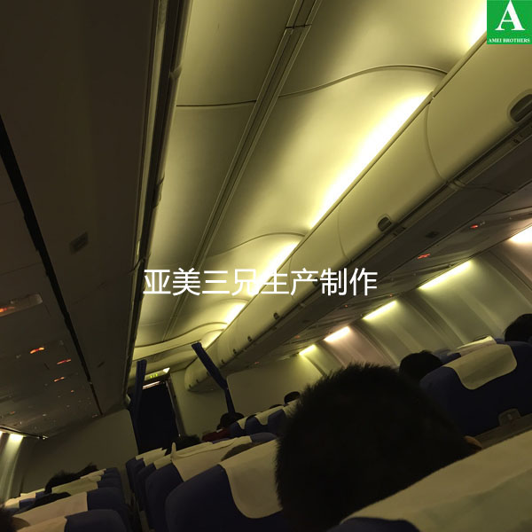 �w�C(j��)��(n��i)������c�������⚤